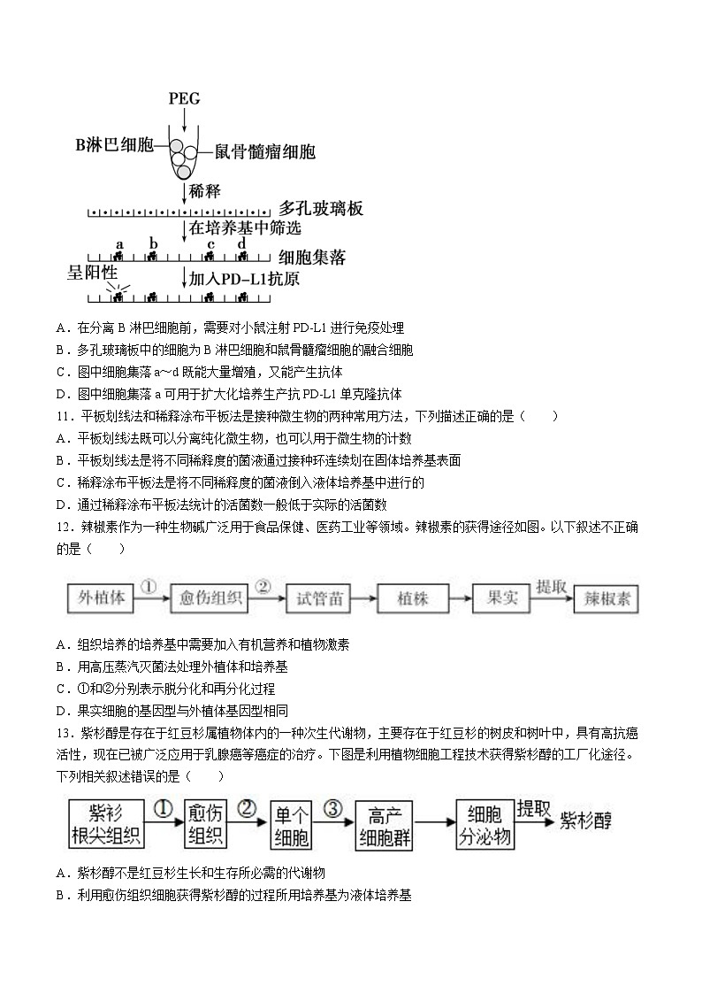 山东省潍坊昌邑市一中2023-2024学年高二下学期第一次月考生物试题第3页