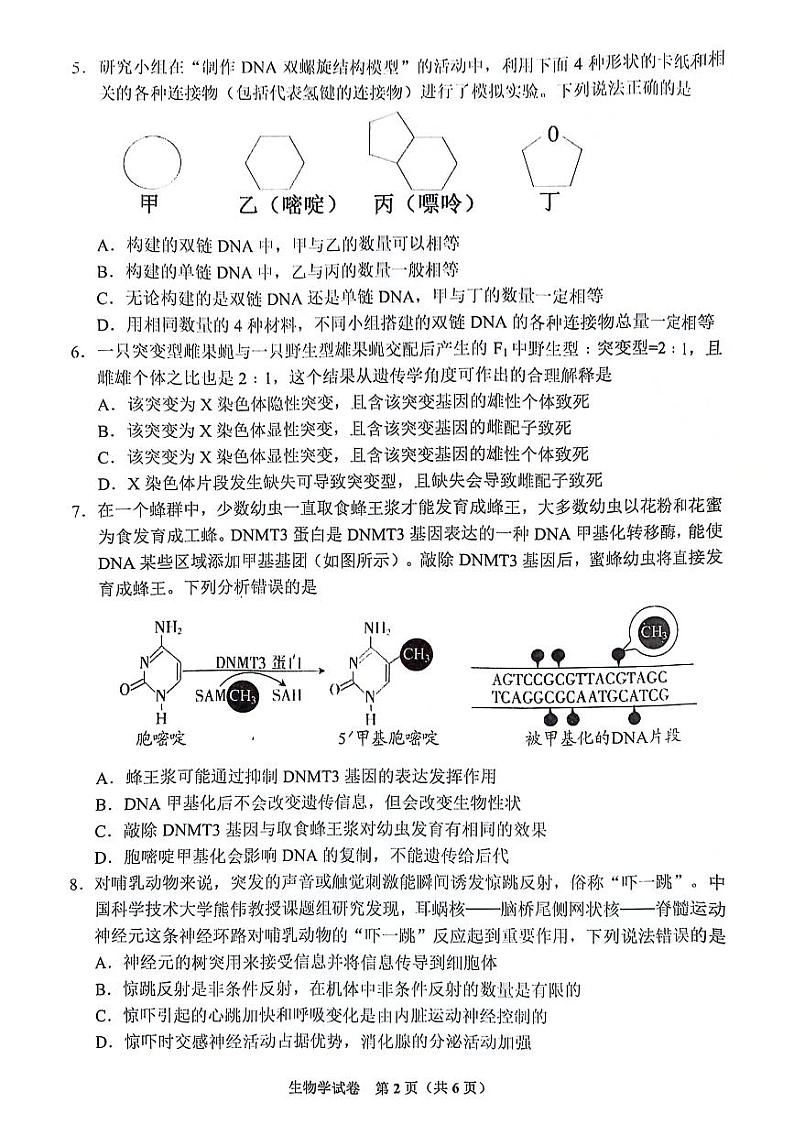 2024届贵州省毕节市高三下学期二模考试生物试卷（无答案）第2页