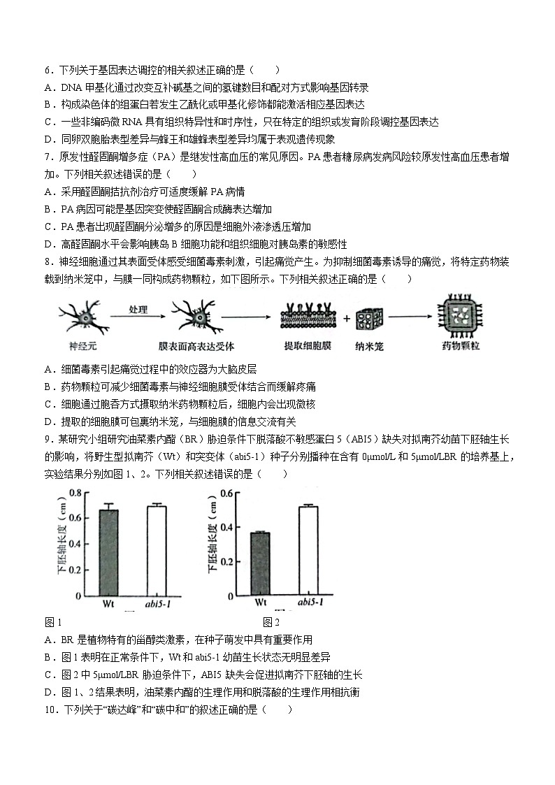 2024南京、盐城高三下学期3月第一次模拟考试生物含答案02
