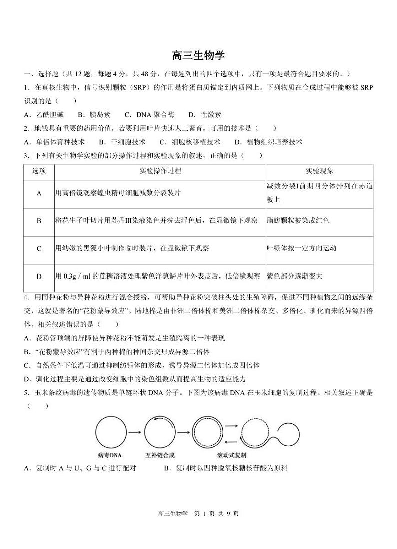天津市红桥区2023-2024学年高三下学期第一次模拟考试生物试题第1页