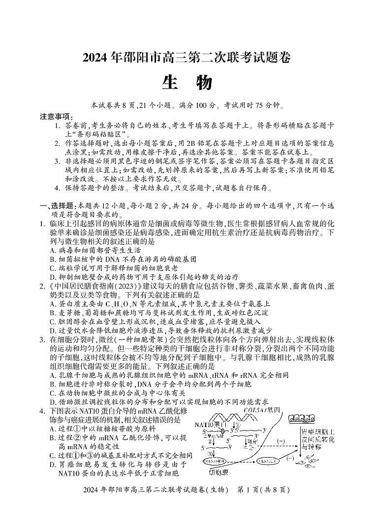 湖南省邵阳市2024届高三下学期二模生物试卷（PDF版附答案）01