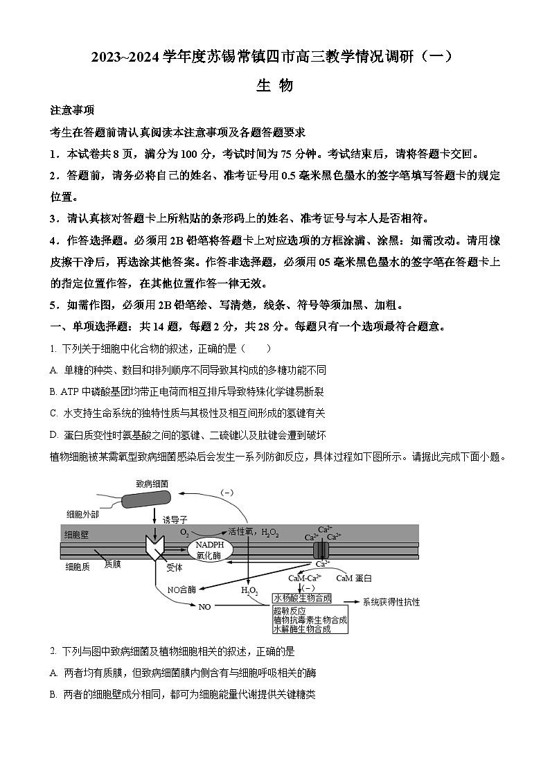 江苏省苏锡常镇四市2024届高三下学期3月教学情况调研（一）（一模）生物试卷（Word版附解析）01