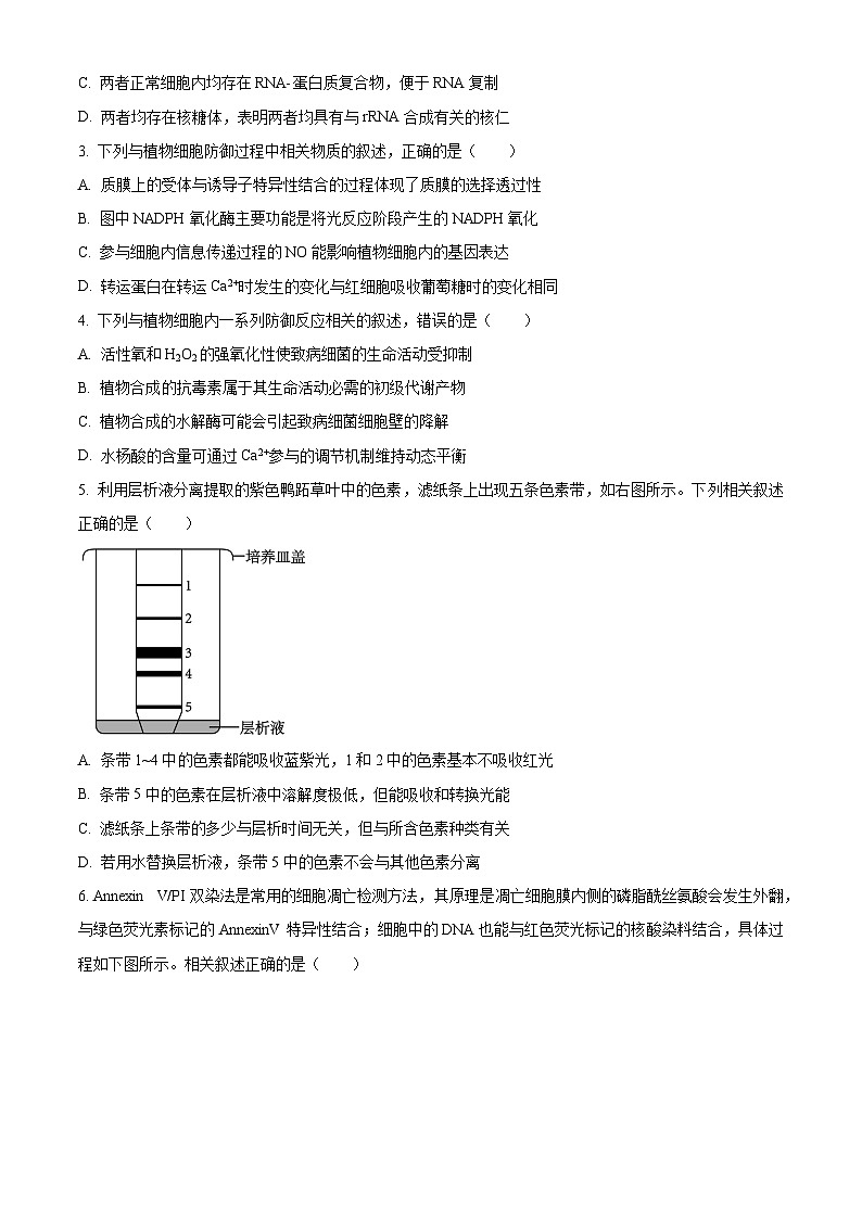 江苏省苏锡常镇四市2024届高三下学期3月教学情况调研（一）（一模）生物试卷（Word版附解析）02