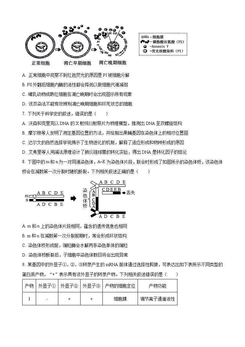 江苏省苏锡常镇四市2024届高三下学期3月教学情况调研（一）（一模）生物试卷（Word版附解析）03