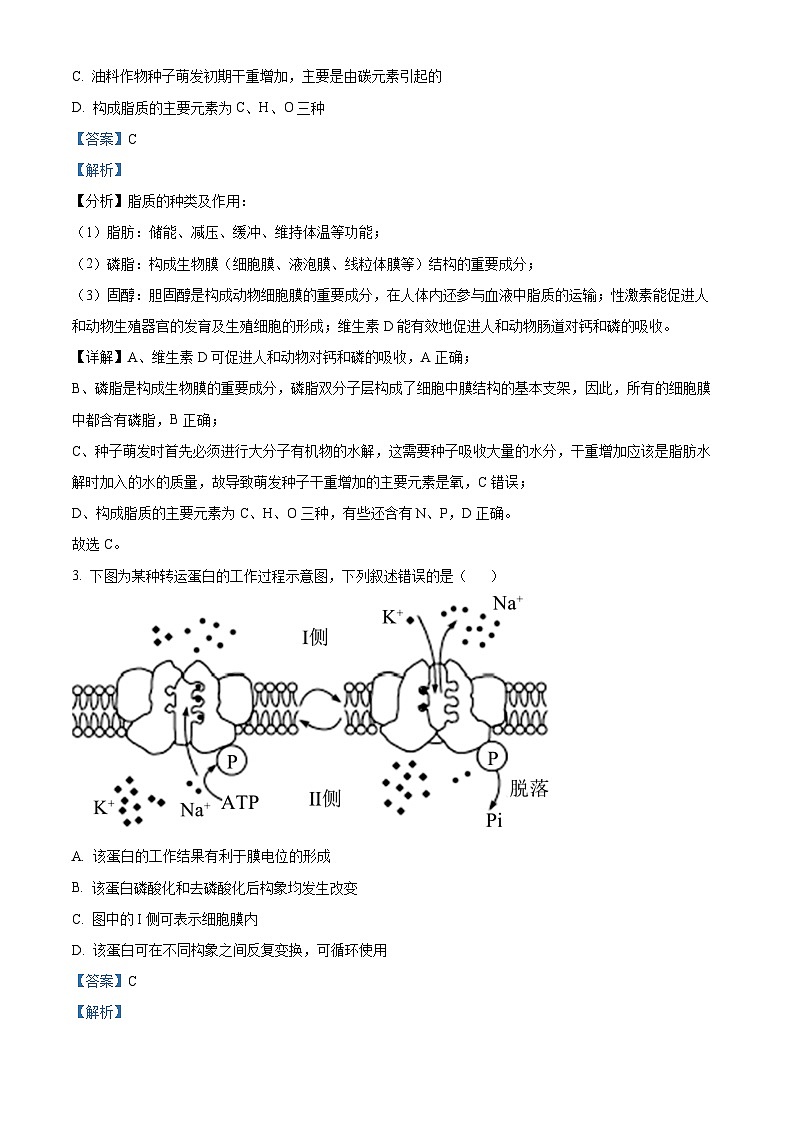 2024届浙江省金丽衢十二校高三下学期第二次联考生物试题  Word版含解析第2页