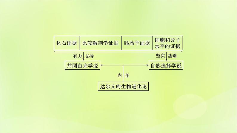 新教材同步备课2024春高中生物第6章生物的进化6.1生物有共同祖先的证据课件新人教版必修2第2页