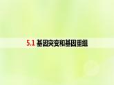 新教材同步备课2024春高中生物第5章基因突变及其他变异5.1基因突变和基因重组课件新人教版必修2