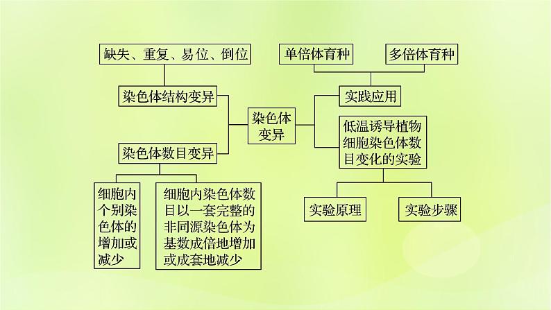 新教材同步备课2024春高中生物第5章基因突变及其他变异5.2染色体变异第1课时课件新人教版必修2第2页