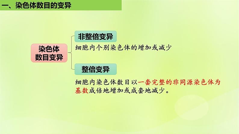 新教材同步备课2024春高中生物第5章基因突变及其他变异5.2染色体变异第1课时课件新人教版必修2第7页