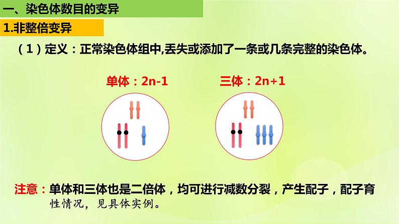 新教材同步备课2024春高中生物第5章基因突变及其他变异5.2染色体变异第1课时课件新人教版必修2第8页