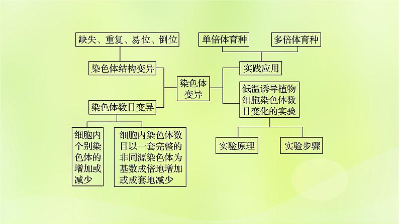 新教材同步备课2024春高中生物第5章基因突变及其他变异5.2染色体变异第2课时课件新人教版必修2第2页