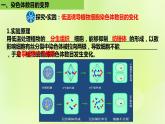 新教材同步备课2024春高中生物第5章基因突变及其他变异5.2染色体变异第2课时课件新人教版必修2