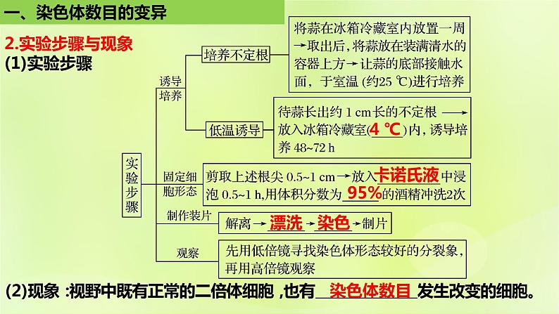 新教材同步备课2024春高中生物第5章基因突变及其他变异5.2染色体变异第2课时课件新人教版必修2第6页