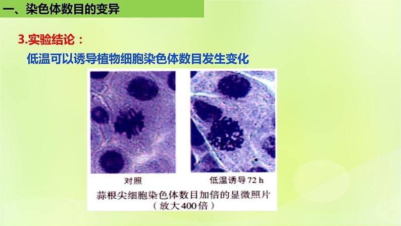 新教材同步备课2024春高中生物第5章基因突变及其他变异5.2染色体变异第2课时课件新人教版必修2第8页