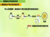 新教材同步备课2024春高中生物第4章基因的表达4.2基因表达与性状的关系课件新人教版必修2