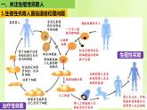 新教材同步备课2024春高中生物第4章生物技术的安全性与伦理问题4.2关注生殖性克隆人课件新人教版选择性必修3