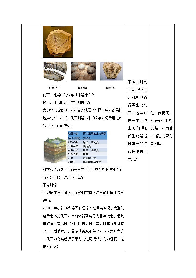 新教材同步备课2024春高中生物第6章生物的进化6.1生物有共同祖先的证据教案新人教版必修2第3页