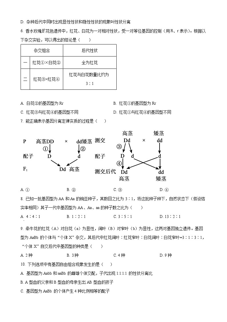 四川省成都市简阳实验学校2023-2024学年高一下学期3月月考生物试题 Word版无答案第2页