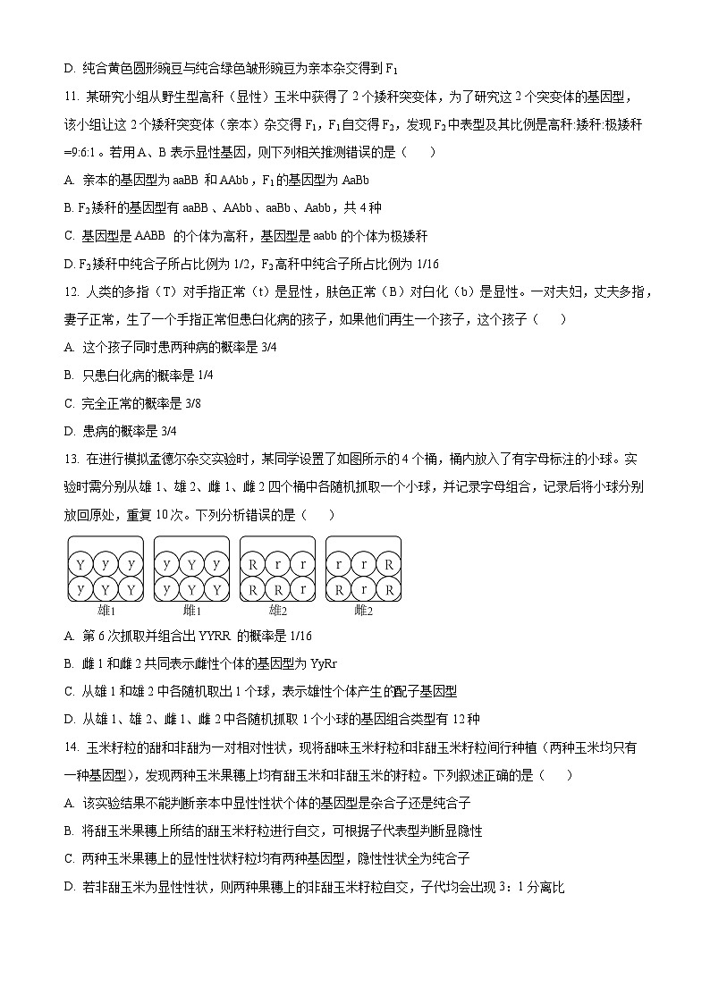 四川省成都市简阳实验学校2023-2024学年高一下学期3月月考生物试题 Word版无答案第3页