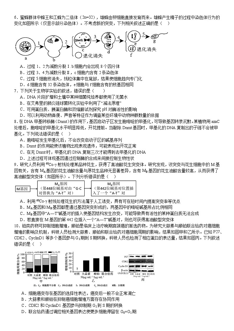 浙江省天域全国名校协作体2023-2024学年高三下学期联考生物试题（Word版附答案）02