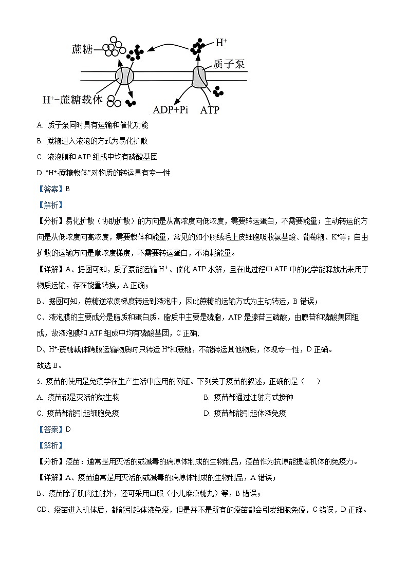 浙江省温州市2024届二模生物试题  Word版含解析第3页