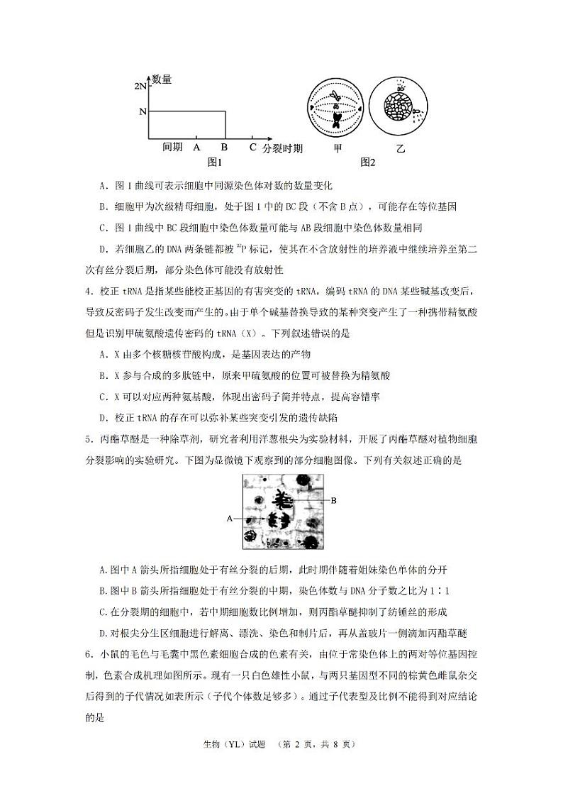 2024届湖南省长沙市雅礼中学高三下学期3月综合测试（一）生物02