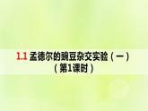 2024春高中生物第1章遗传因子的发现1.1孟德尔的豌豆杂交实验一第1课时课件新人教版必修2