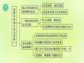 2024春高中生物第1章遗传因子的发现1.1孟德尔的豌豆杂交实验一第1课时课件新人教版必修2