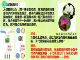 2024春高中生物第1章遗传因子的发现1.1孟德尔的豌豆杂交实验一第1课时课件新人教版必修2