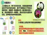 2024春高中生物第1章遗传因子的发现1.1孟德尔的豌豆杂交实验一第1课时课件新人教版必修2