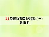 2024春高中生物第1章遗传因子的发现1.1孟德尔的豌豆杂交实验一第4课时课件新人教版必修2