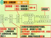 2024春高中生物第1章遗传因子的发现1.1孟德尔的豌豆杂交实验一第4课时课件新人教版必修2
