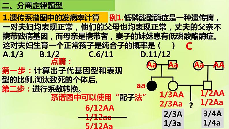 2024春高中生物第1章遗传因子的发现1.1孟德尔的豌豆杂交实验一第4课时课件新人教版必修2第7页