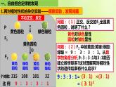 2024春高中生物第1章遗传因子的发现1.2孟德尔的豌豆杂交实验二第1课时课件新人教版必修2