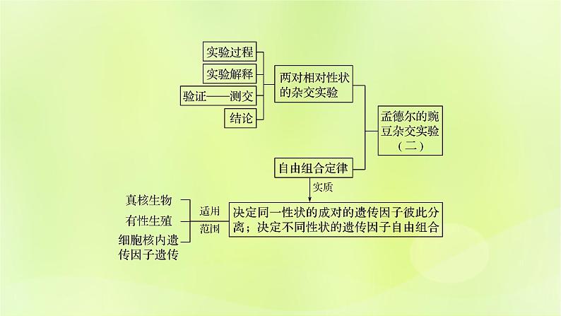 2024春高中生物第1章遗传因子的发现1.2孟德尔的豌豆杂交实验二第2课时课件新人教版必修2第2页