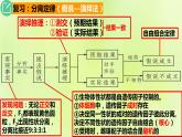 2024春高中生物第1章遗传因子的发现1.2孟德尔的豌豆杂交实验二第2课时课件新人教版必修2