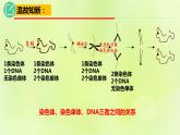 2024春高中生物第2章基因和染色体的关系2.1减数分裂和受精作用第1课时课件新人教版必修2