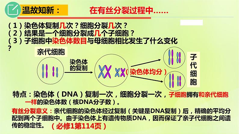 2024春高中生物第2章基因和染色体的关系2.1减数分裂和受精作用第1课时课件新人教版必修206