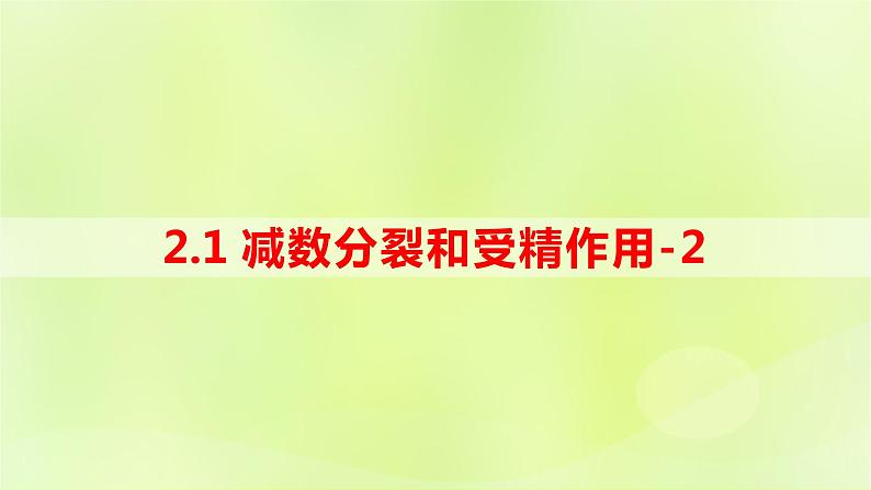 2024春高中生物第2章基因和染色体的关系2.1减数分裂和受精作用第2课时课件新人教版必修2第1页