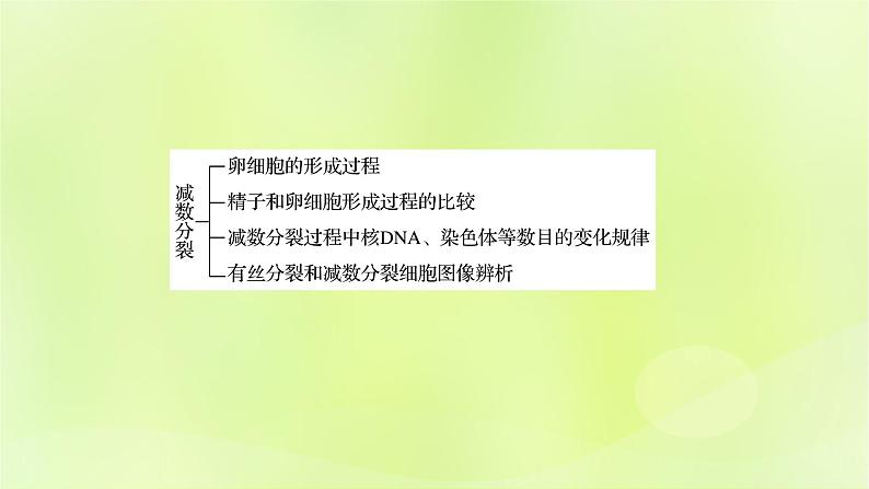 2024春高中生物第2章基因和染色体的关系2.1减数分裂和受精作用第2课时课件新人教版必修2第2页