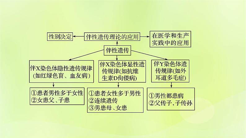 2024春高中生物第2章基因和染色体的关系2.3伴性遗传第1课时课件新人教版必修202