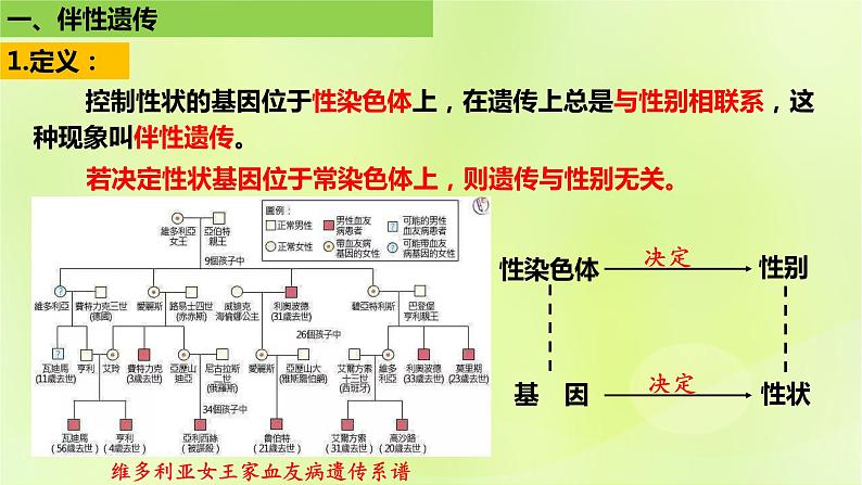 2024春高中生物第2章基因和染色体的关系2.3伴性遗传第1课时课件新人教版必修205