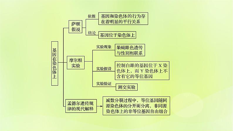 2024春高中生物第2章基因和染色体的关系2.3伴性遗传第3课时性别决定的类型课件新人教版必修202