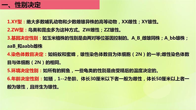 2024春高中生物第2章基因和染色体的关系2.3伴性遗传第3课时性别决定的类型课件新人教版必修203