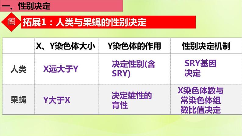 2024春高中生物第2章基因和染色体的关系2.3伴性遗传第3课时性别决定的类型课件新人教版必修207