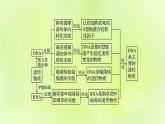 2024春高中生物第3章基因的本质3.1DNA是主要的遗传物质课件新人教版必修2