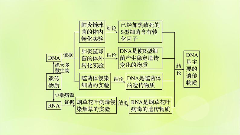 2024春高中生物第3章基因的本质3.1DNA是主要的遗传物质课件新人教版必修2第2页