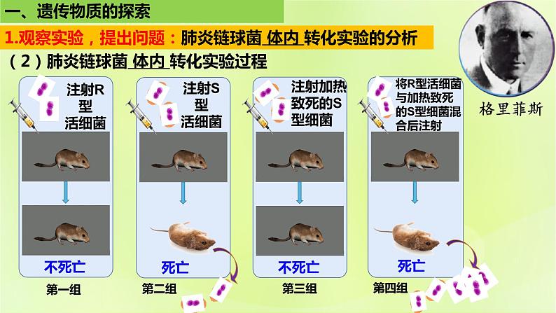 2024春高中生物第3章基因的本质3.1DNA是主要的遗传物质课件新人教版必修2第6页