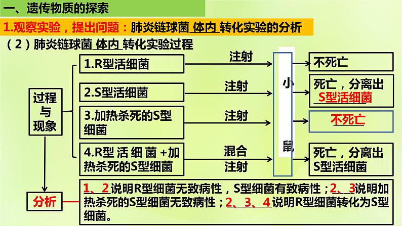 2024春高中生物第3章基因的本质3.1DNA是主要的遗传物质课件新人教版必修2第7页