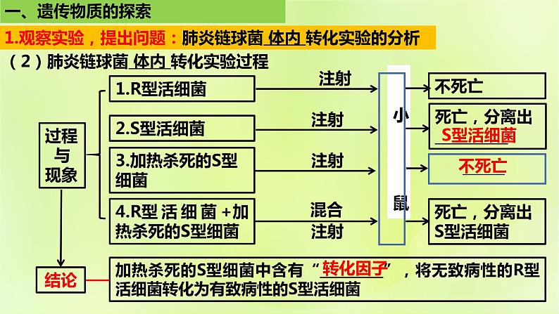 2024春高中生物第3章基因的本质3.1DNA是主要的遗传物质课件新人教版必修2第8页